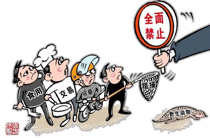 图片11.jpg