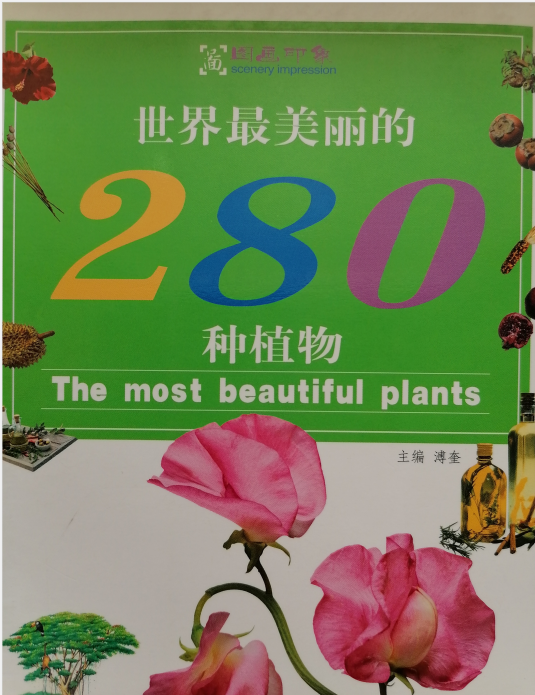 10.png